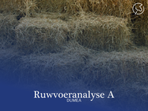 Horse Feed Scan A