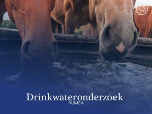 Drinkwateronderzoek
