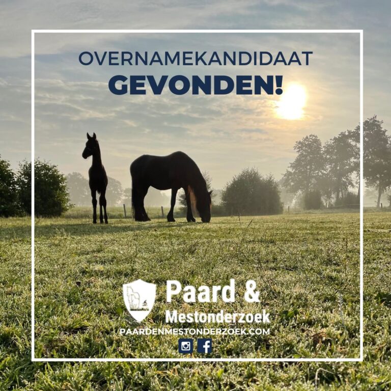 Lees meer over het artikel Overnamekandidaat gevonden!